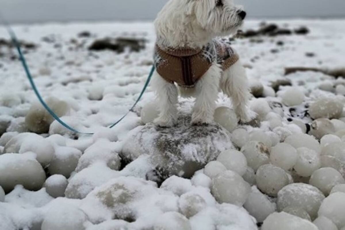 Encuentran miles de brillantes 'huevos de hielo' en playa de Finlandia