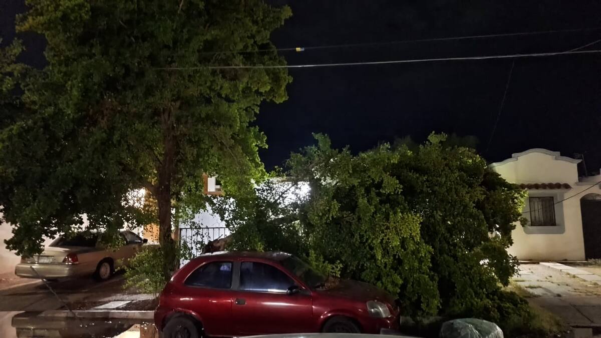 Las plantas potabilizadoras del municipio también detuvieron su operación, afectando el suministro de agua, y se reportaron cortes de electricidad en varias zonas|Foto: Especial