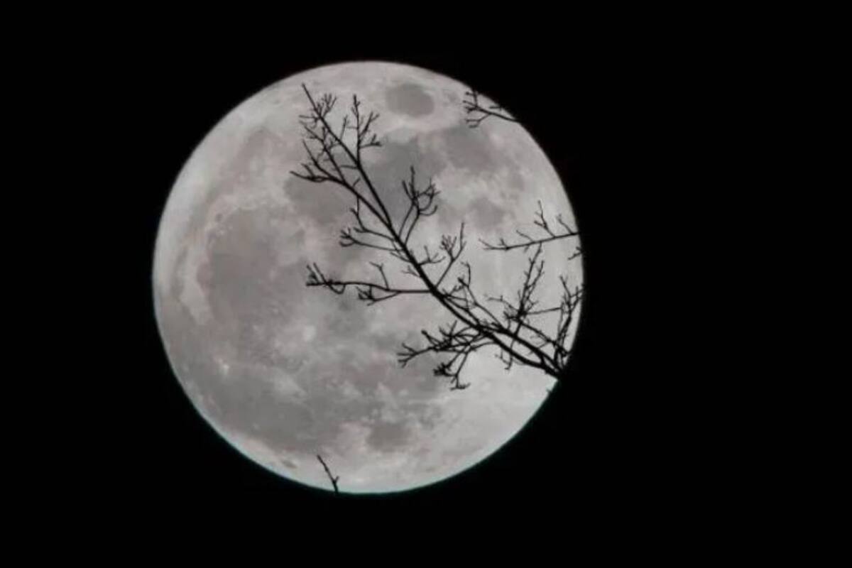 Disfruta esta noche la Superluna rosa, la más grande del año; NASA transmitirá su puesta