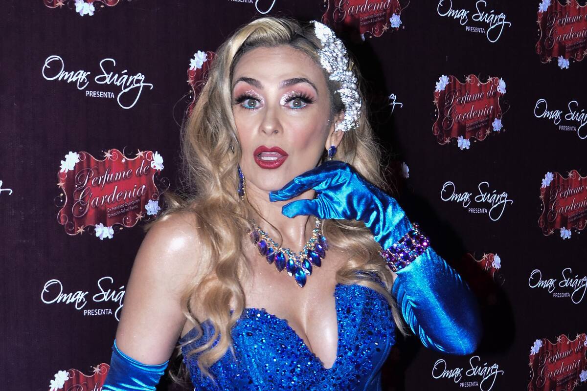 Aracely Arámbula aclara razón por la que sigue ocultando identidad de sus hijos