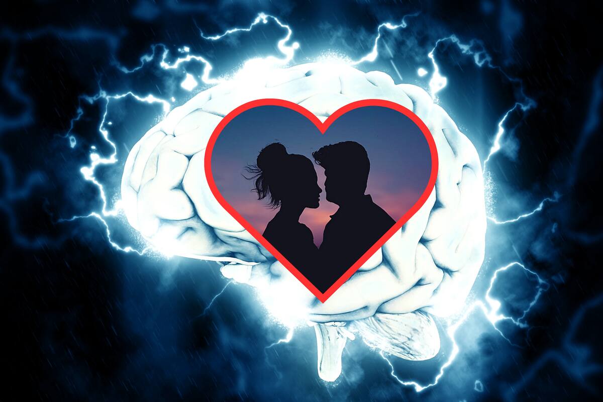 Así reacciona el cerebro al amor, según estudios