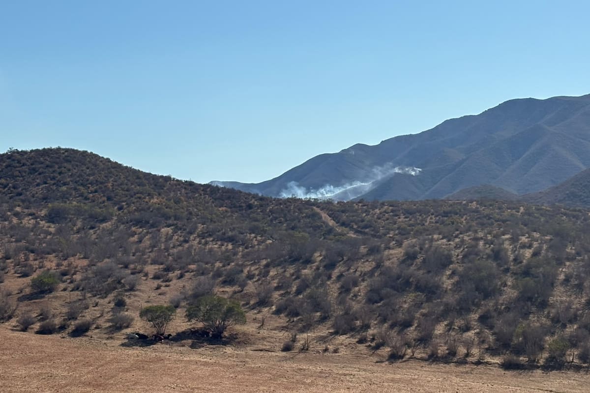 Liquidan incendio forestal que afectó 600 hectáreas en San Vicente tras cuatro días de labores