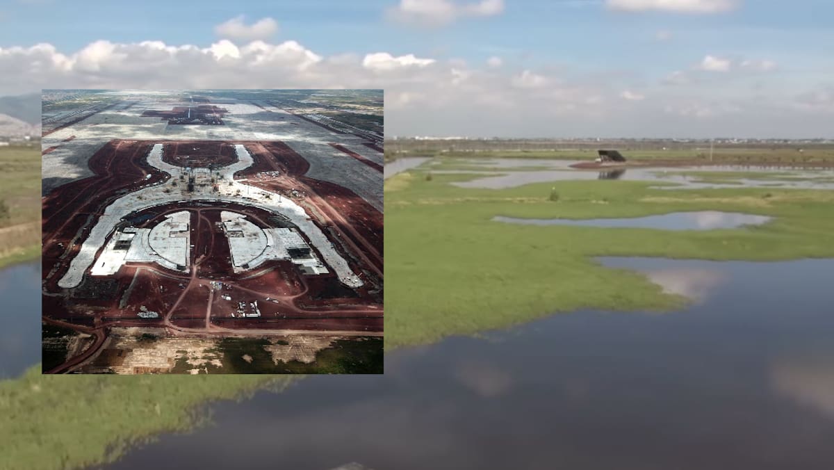 El lago de Texcoco actualmente tiene áreas verdes.