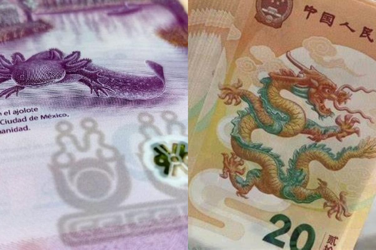 El billete del año del dragón, el nuevo rival del ajolote