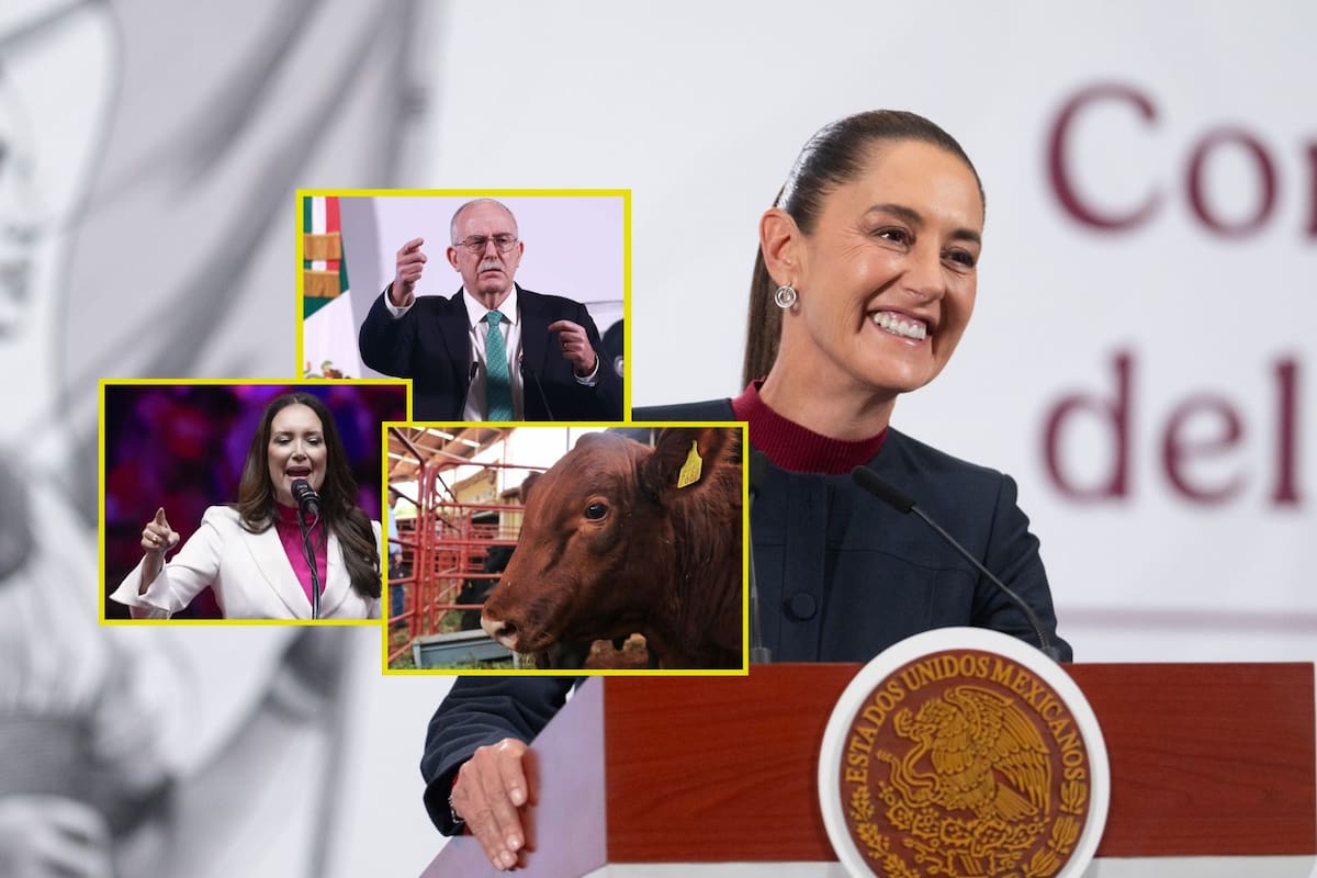 Julio Berdegué se reunirá con Brooke Rollins la próxima semana para buscar acuerdo en reapertura de EEUU a ganado mexicano: Claudia Sheinbaum