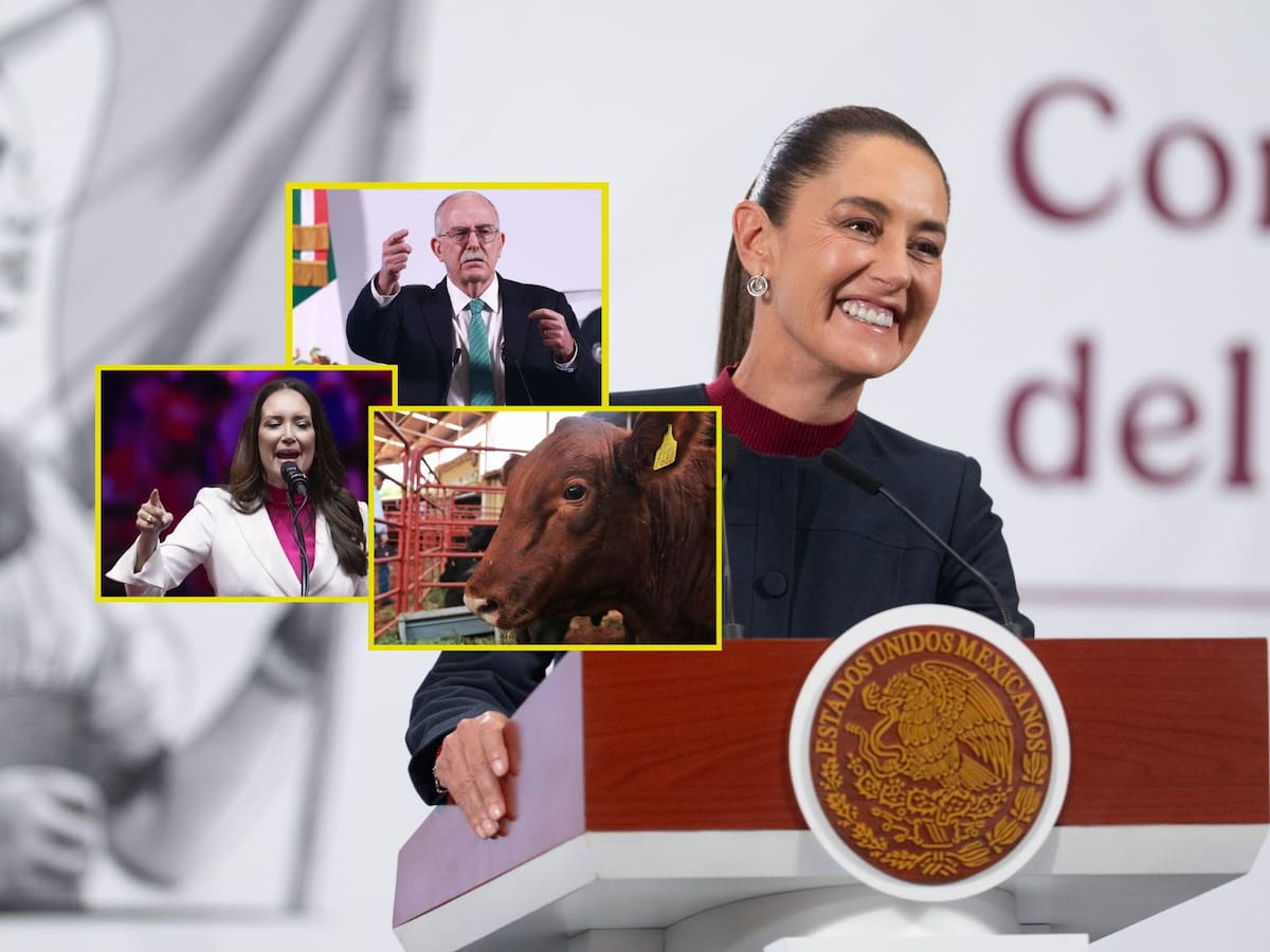 Julio Berdegué (Sader) se reunirá con Brooke Rollins para buscar acuerdo en reapertura de Estados Unidos a ganado mexicano: Claudia Sheinbaum | Crédito: Presidencia/Banco digital GH