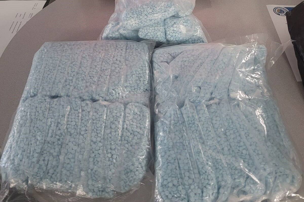 Decomisan 50 mil pastillas falsas con fentanilo en San Diego