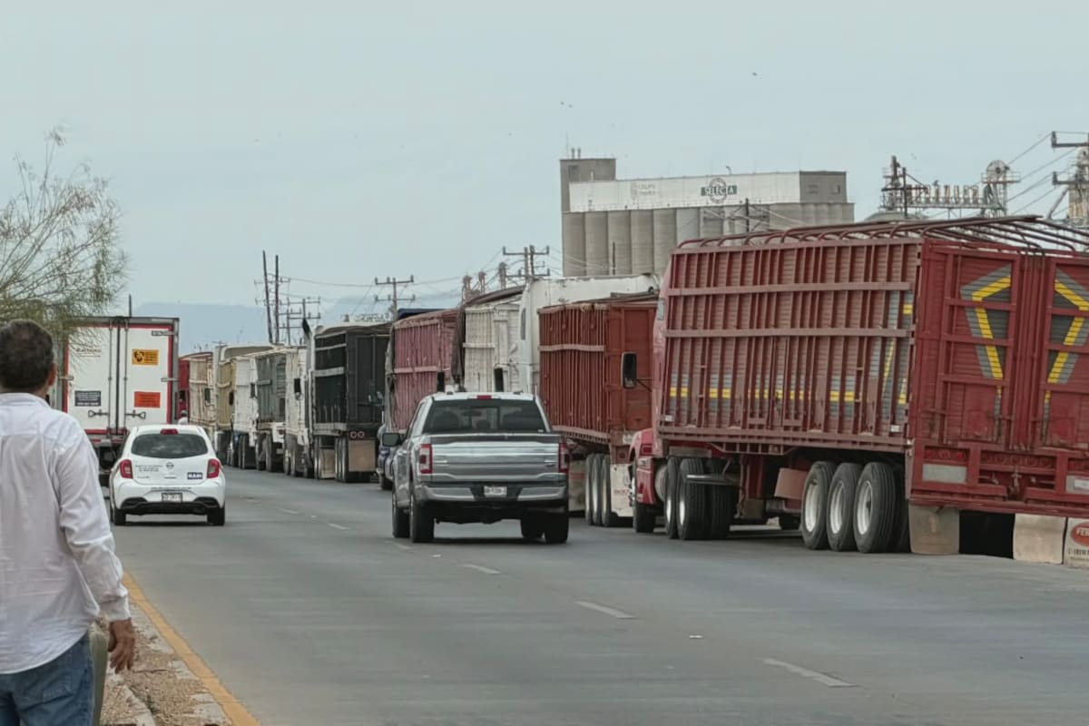 Tardan hasta dos días en entregar carga de trigo