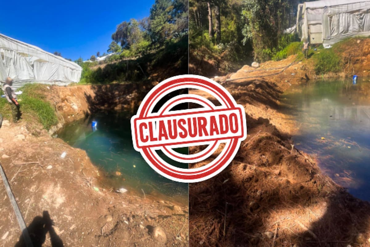 Profepa clausura obras ilegales en río Los Cuervos y asegura maquinaria en Edomex