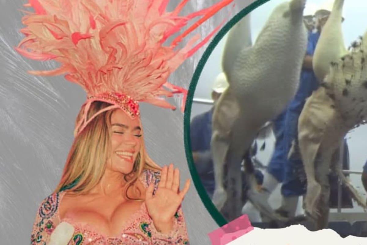 Karol G es blanco de críticas: PETA Latino la señala por usar plumas de aves