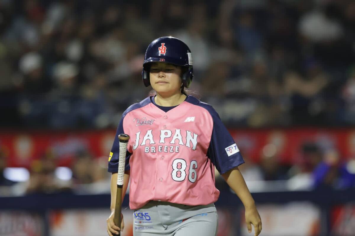 Béisbol sin barreras