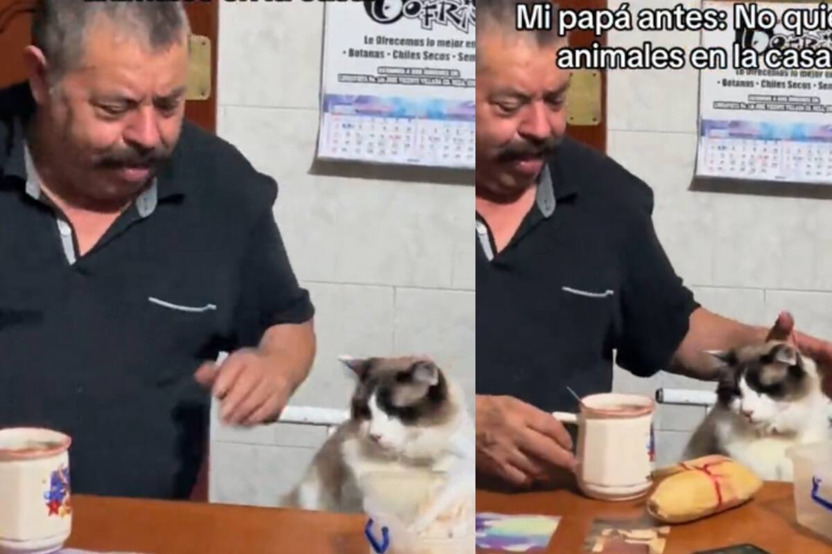 Joven graba cómo su papá sienta a su gato en la mesa y hasta le ofrece un tamal