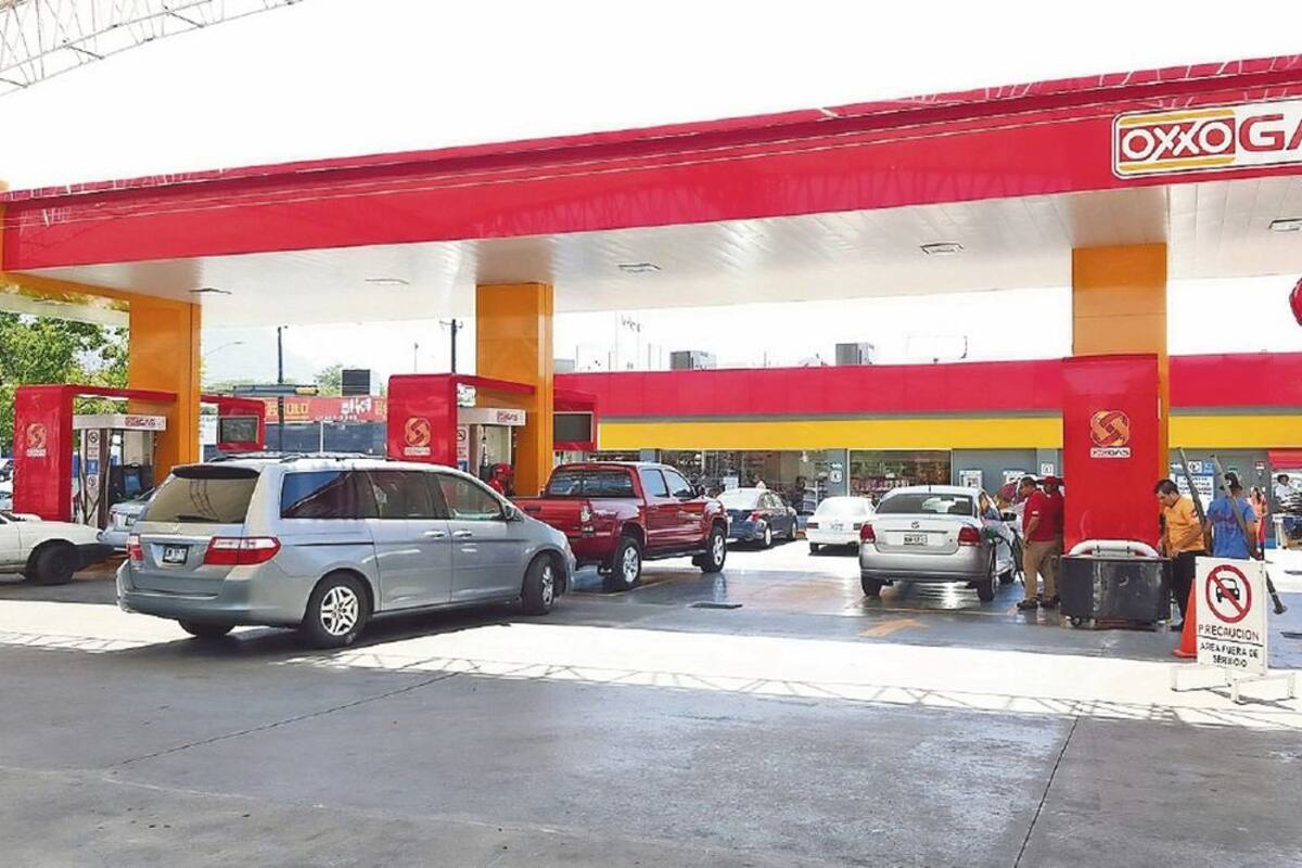 Profeco espera “mejores precios” en gasolina de Oxxo Gas, tras ser exhibida por AMLO