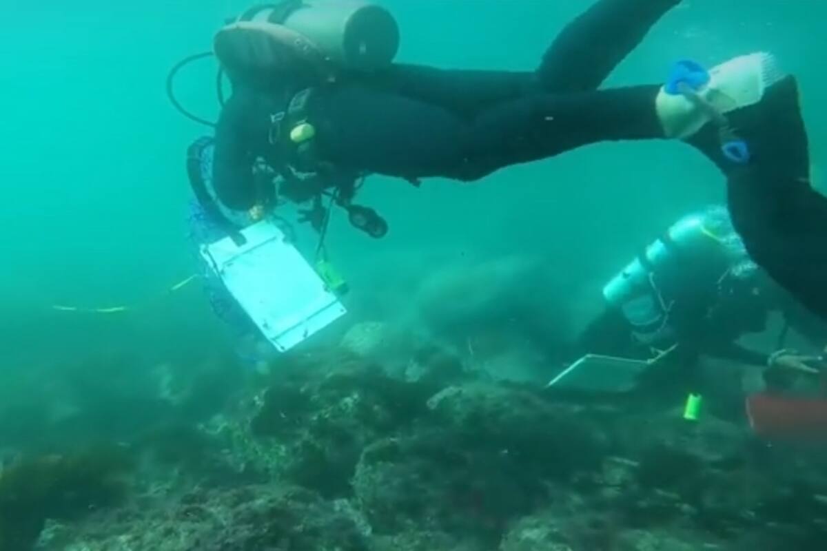 Buzos ofrecen apoyo en búsqueda de los militares desaparecidos