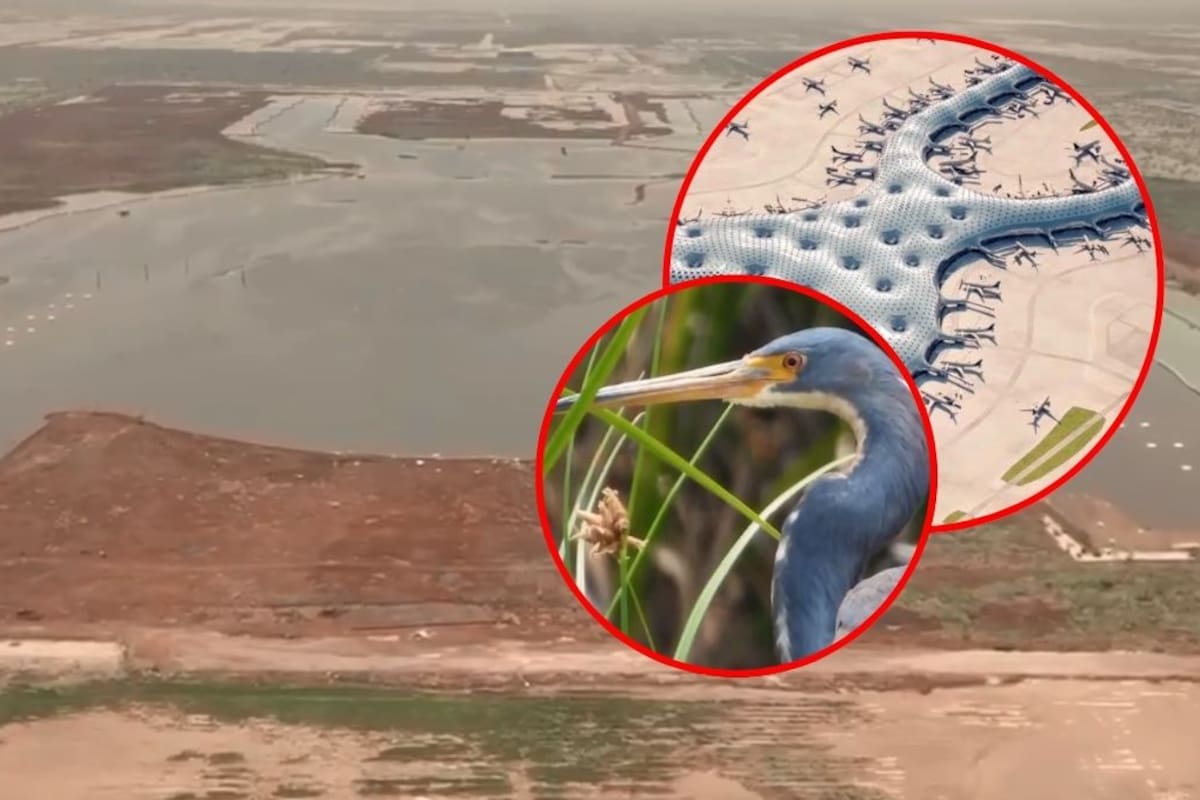 El renacimiento del Lago de Texcoco: Alcanzó el 78% de su capacidad y recuperó su función ecológica para prevenir inundaciones en el Valle de México