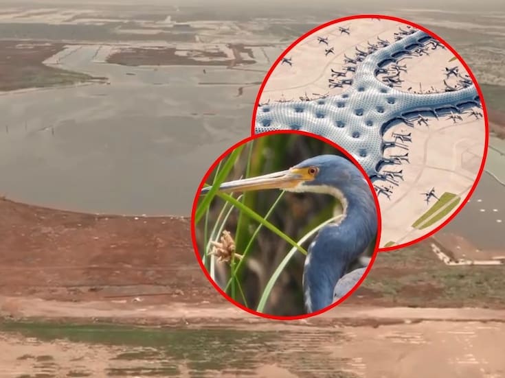 El renacimiento del Lago de Texcoco: Alcanzó el 78% de su capacidad y recuperó su función ecológica para prevenir inundaciones en el Valle de México