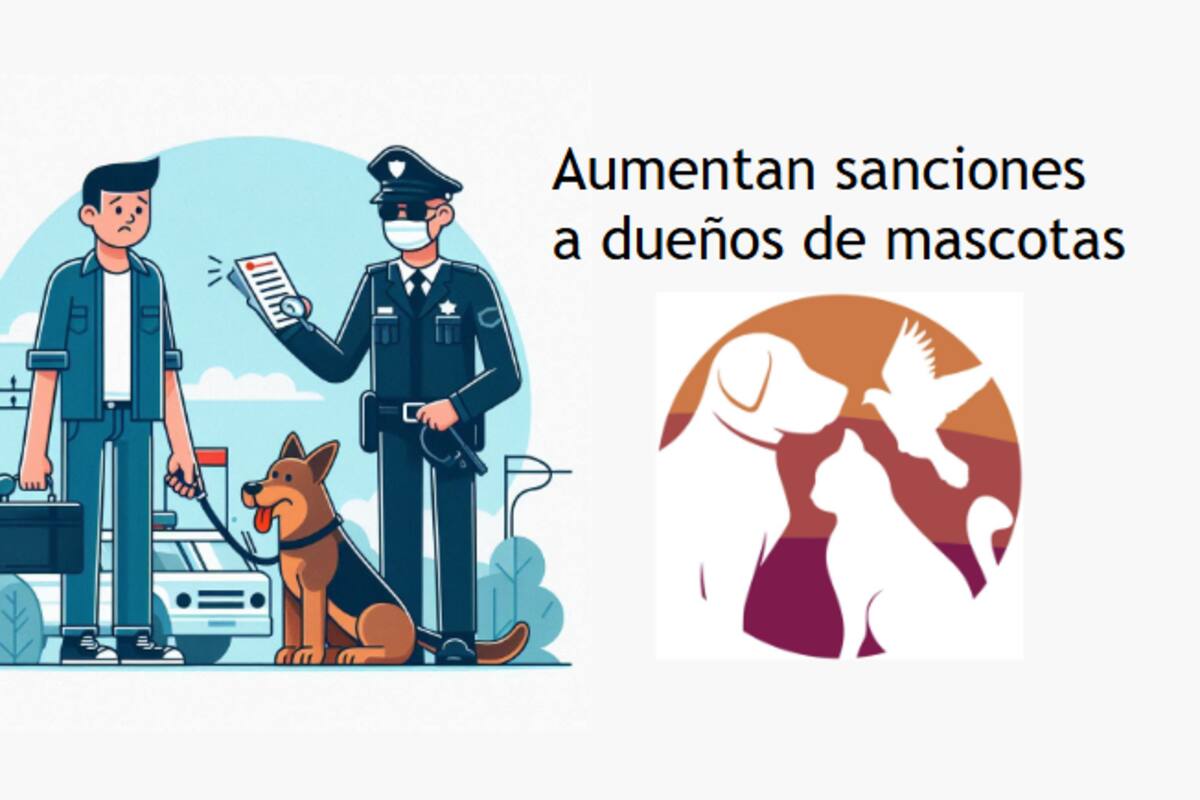 Aumentan sanciones a dueños de mascotas: 900 infracciones en 2024
