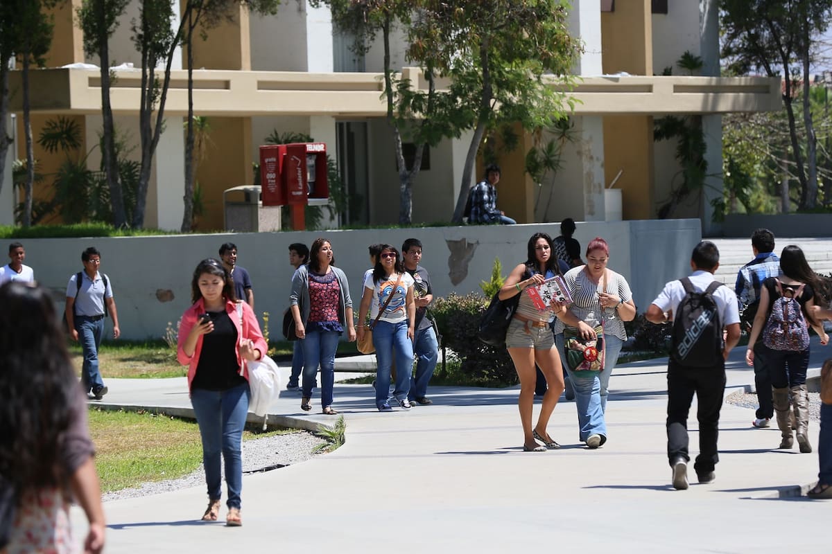 Ansiedad, faltas y apatía en clases pueden advertir riesgo de deserción universitaria