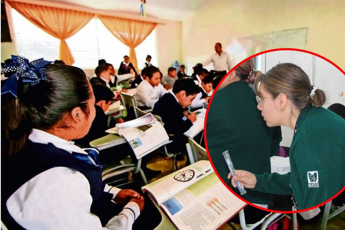 Detectan más de tres millones de estudiantes con faltas de atención médica en México: brigadas de salud escolar revisan a 7.6 millones de alumnos, atienden a 4.5 millones, identifican rezagos, necesidades urgentes de consulta y llaman a madres y padres a acudir al IMSS, IMSS-Bienestar y centros de salud tras visitar 60 mil escuelas públicas
