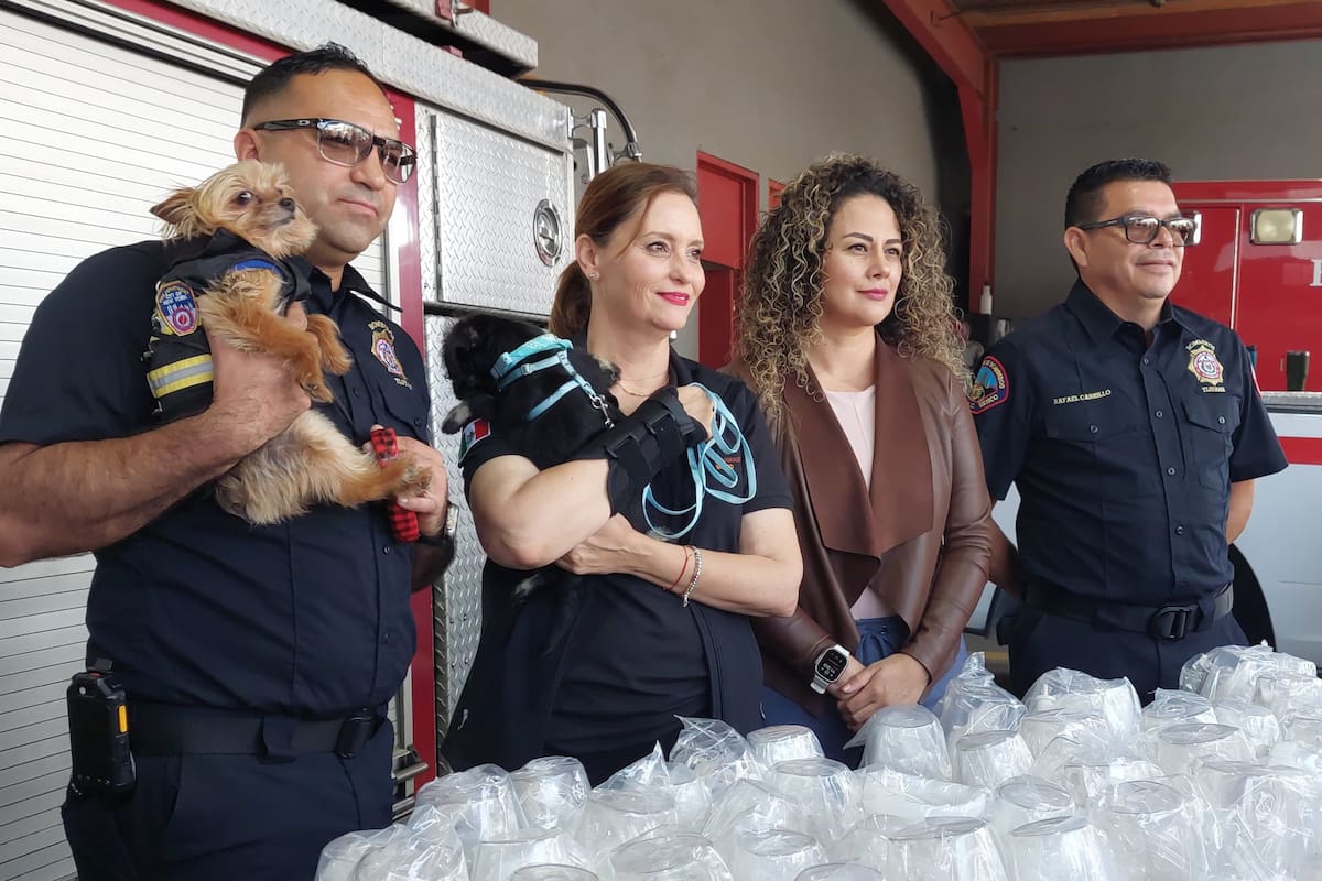 Brindarán ayuda a animales víctimas de incendios con equipo de primeros auxilios