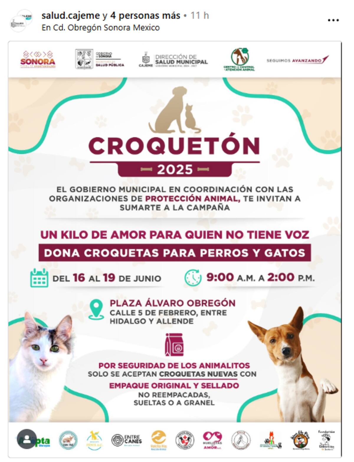 Del 16 al 19 de junio, de 9:00 a.m. a 2:00 p.m., el Gobierno Municipal y organizaciones de protección animal recibirán donaciones de croquetas para perros y gatos en Plaza Álvaro Obregón