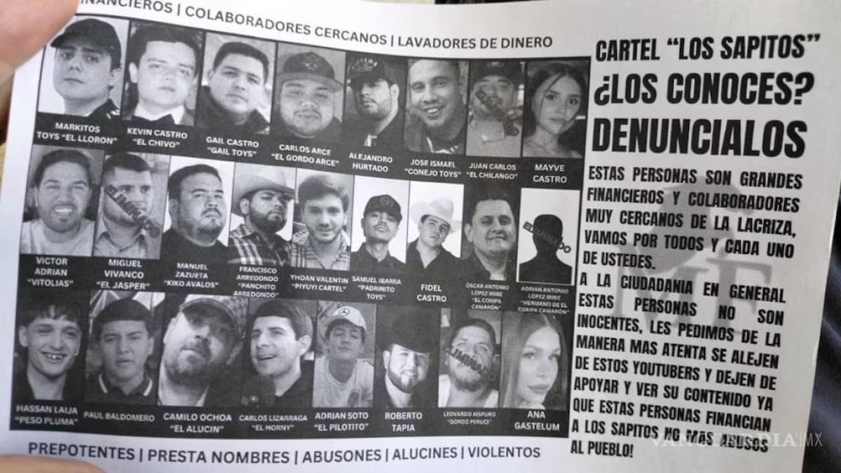 Los documentos, distribuidos desde avionetas, señalan a 25 artistas e influencers por presuntos vínculos con "Los Chapitos".