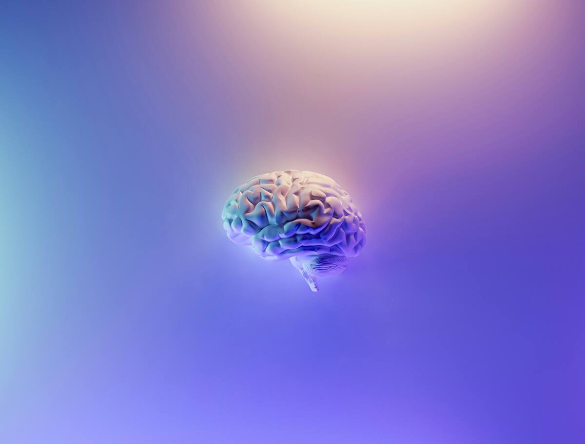 Los científicos llevaron a cabo investigaciones exhaustivas para comprender mejor cómo el cerebro responde a las amenazas. foto: unsplash