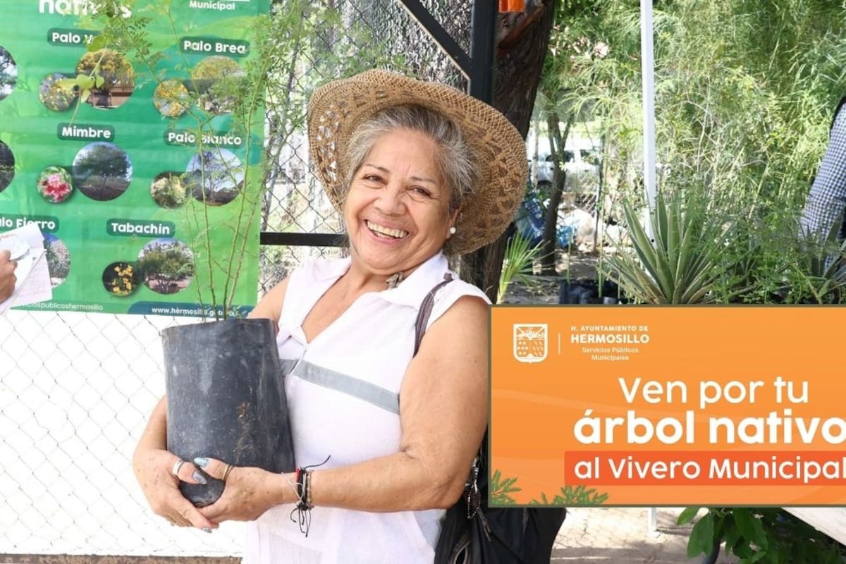 Hermosillo regalará árboles nativos este viernes; conoce dónde conseguir uno y qué especies entregarán