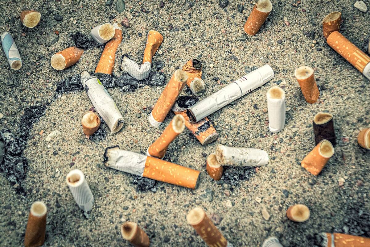 Recolectan 250 mil colillas de cigarro en Hermosillo