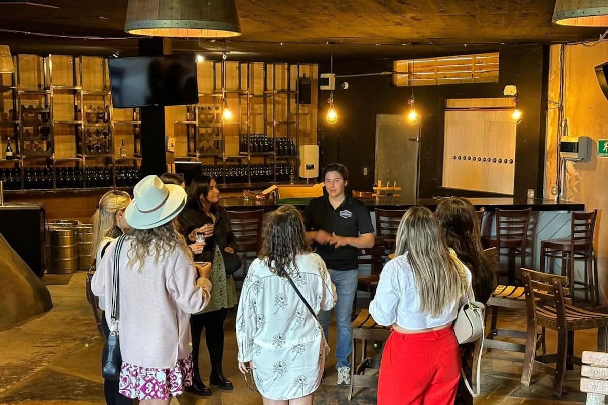 Esperan aumento hasta del 20% en tours en los próximos días