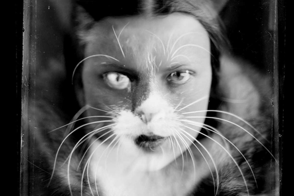 Wanda Wulz y su increíble fusión con un gato en la fotografía