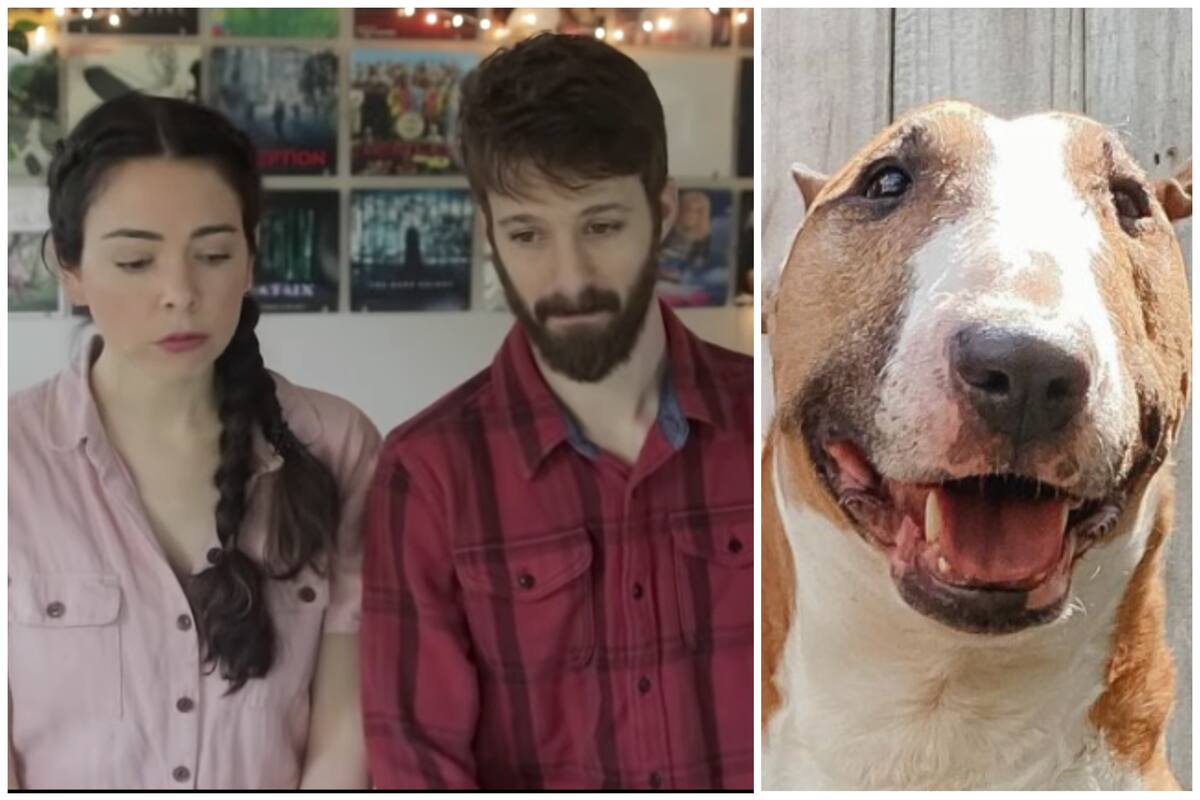 Influencer sacrifica a su perro luego de que este mordiera a su hijo; la critican en redes sociales