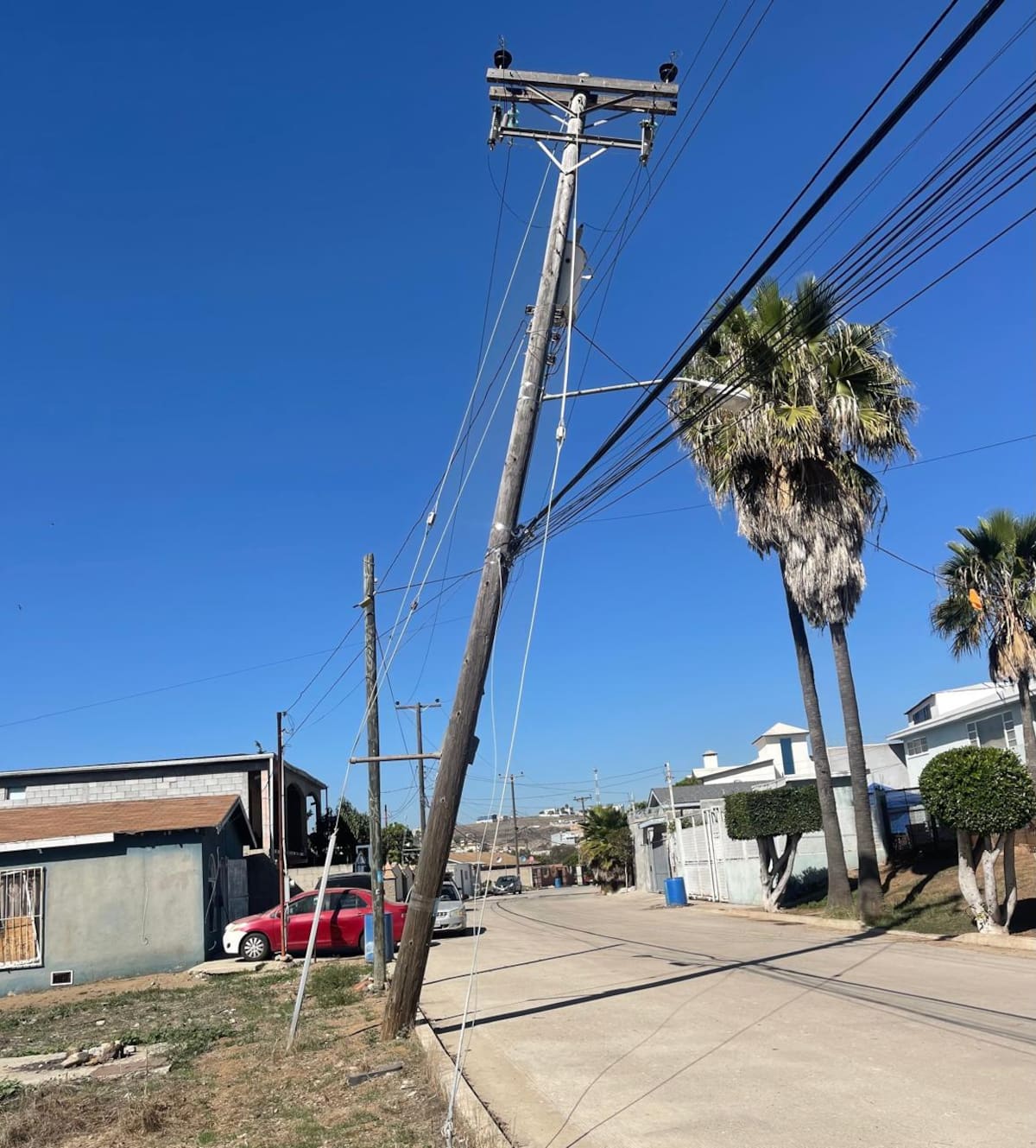 Se teme que caiga con los vientos de Santa Ana que ya se aproximan. Foto: Carmen Gutiérrez