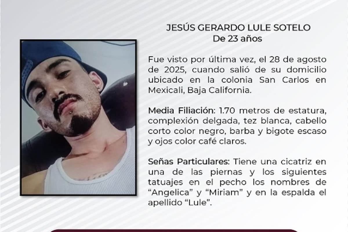 Pesquisa de Jesús Gerardo Lule Sotelo
