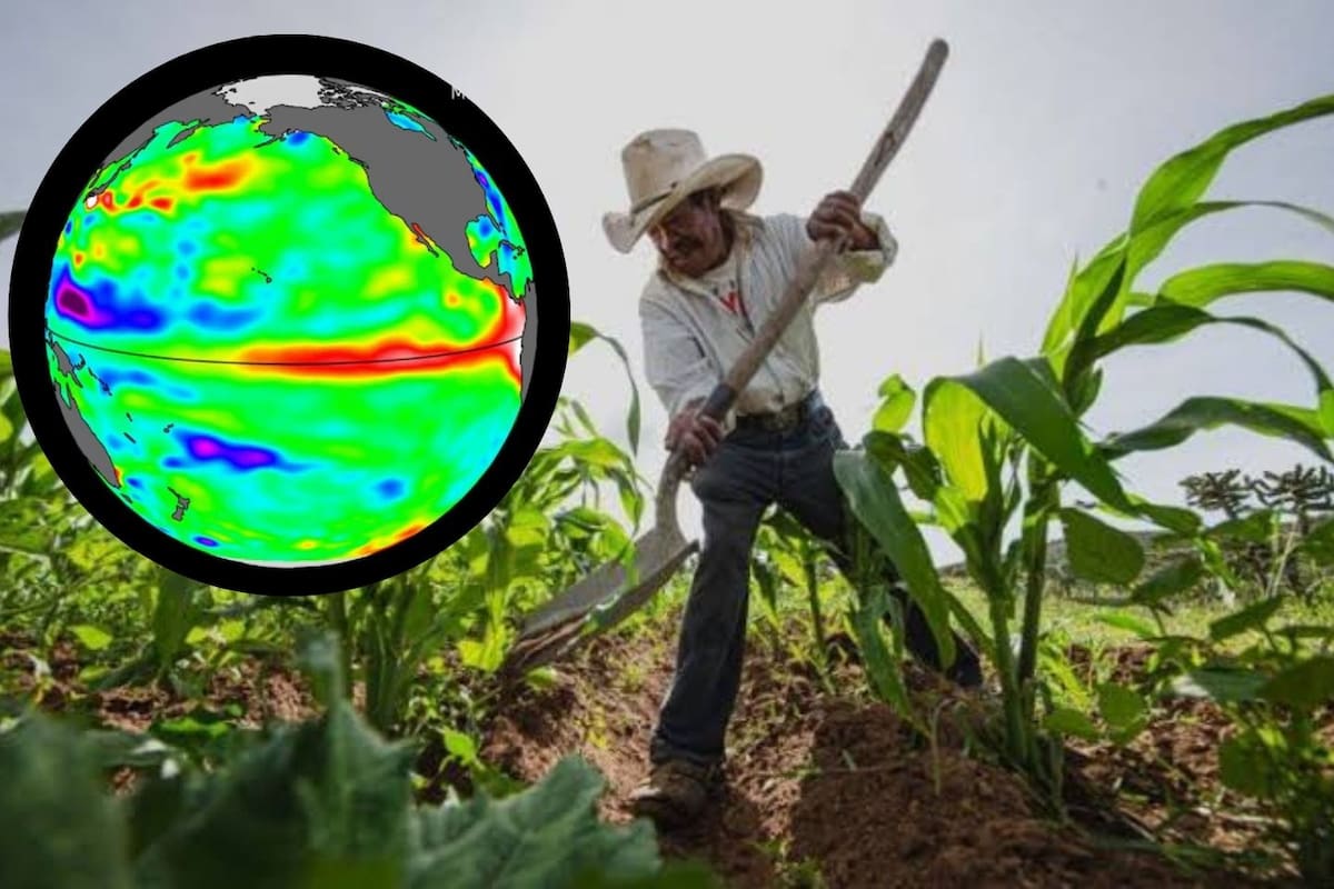 Amenaza ‘Súper-Niño’ a campos agrícolas de Sonora