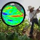 Amenaza ‘Súper-Niño’ a campos agrícolas de Sonora