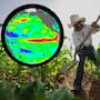 Amenaza ‘Súper-Niño’ a campos agrícolas de Sonora