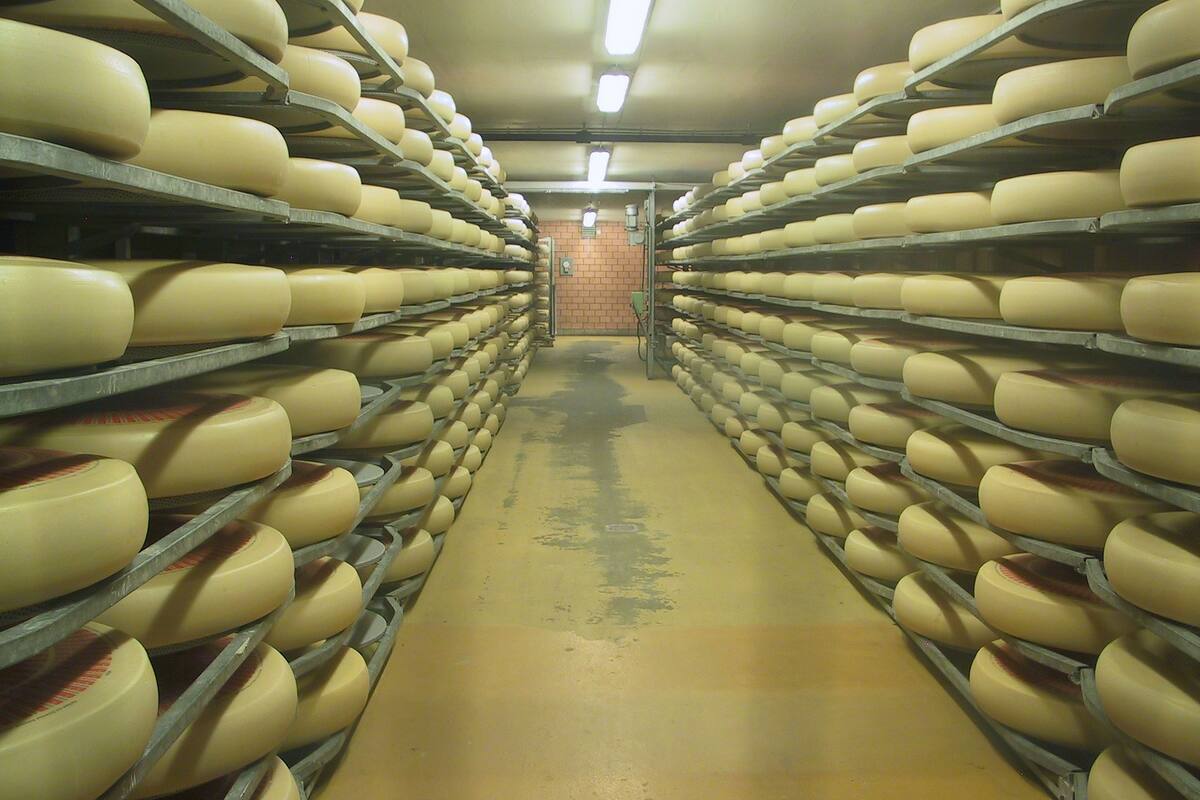 Coronavirus: la estrategia del queso suizo para protegerte de la covid-19