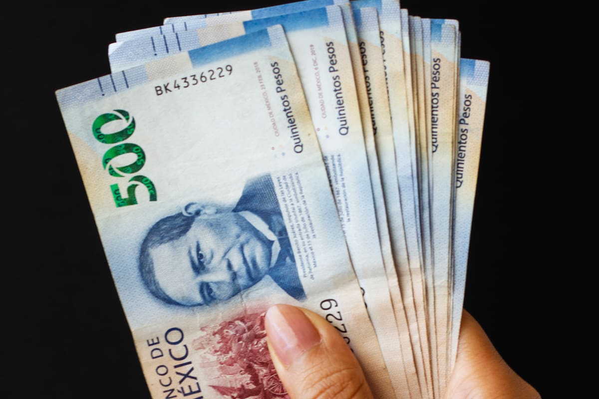 El Banco de México da a conocer que en el reverso de los billetes de la familia G se encuentran diseños con tinta fluorescente como medida de seguridad