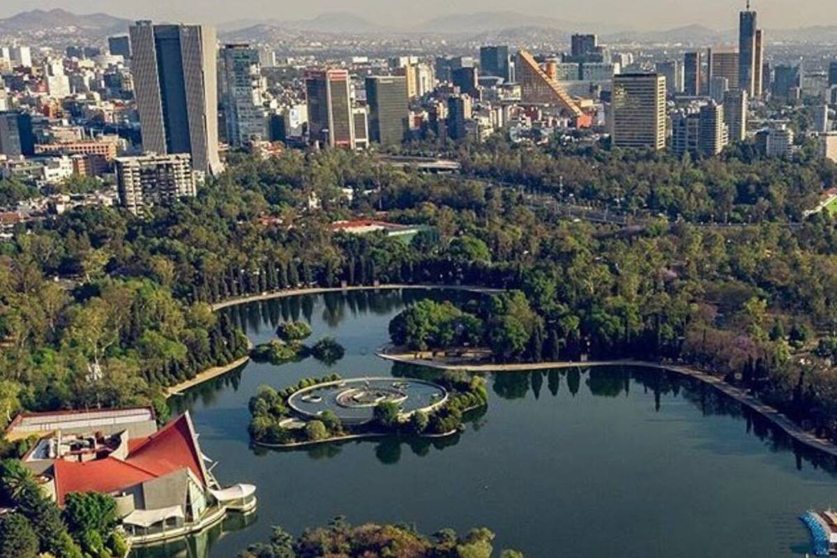 Gabriel Orozco: La cabeza del Proyecto Cultural Chapultepec