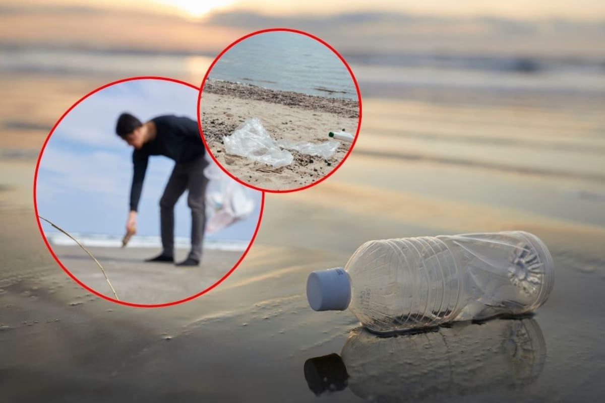 México lanza jornada nacional para limpiar playas y reducir el uso de plásticos