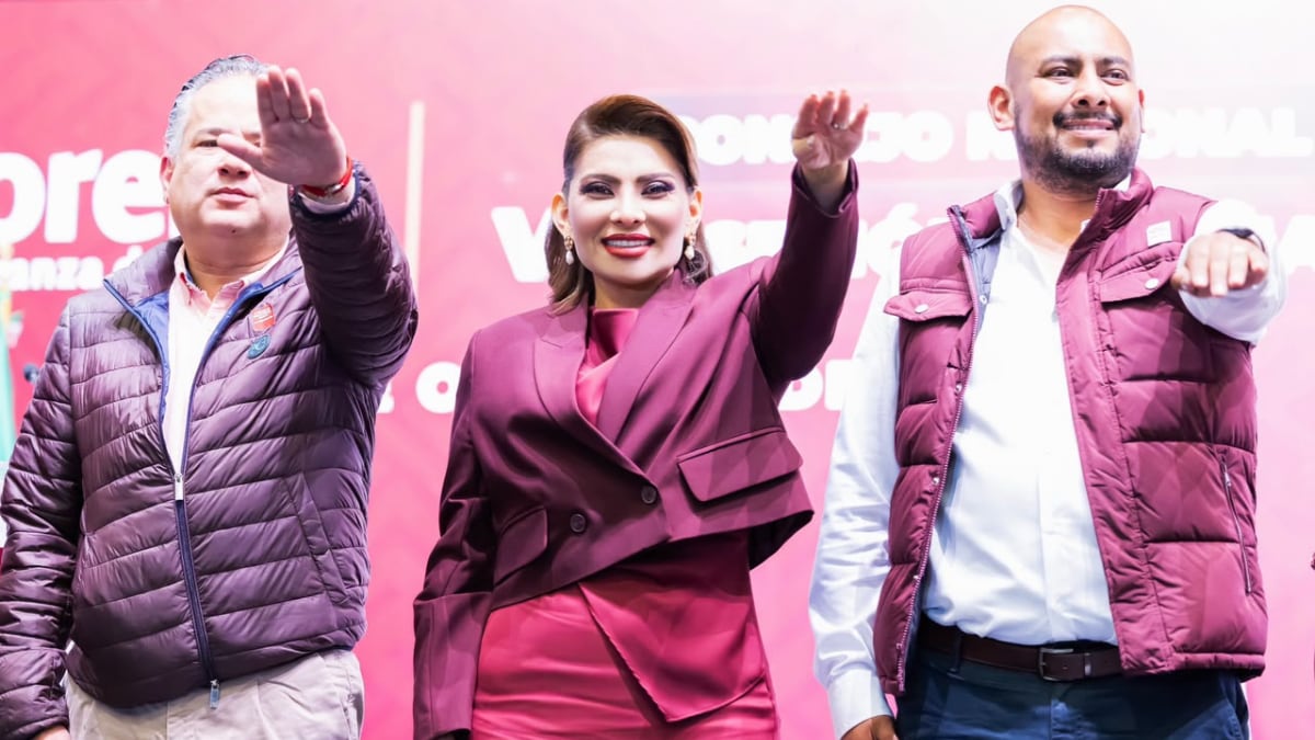 Lorenia Valles rindió protesta ante el Consejo Nacional de morena.