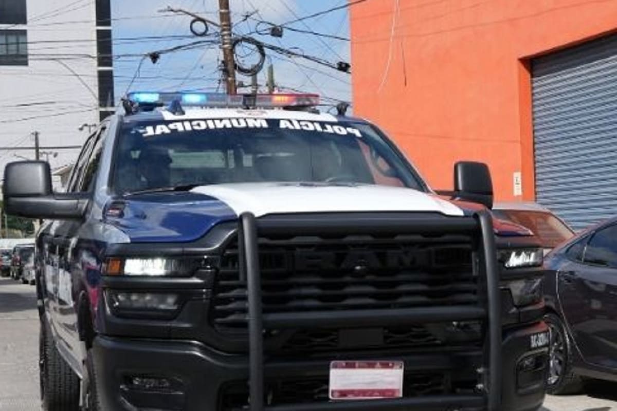 Reportan decomisos y detenciones en operativos semanales