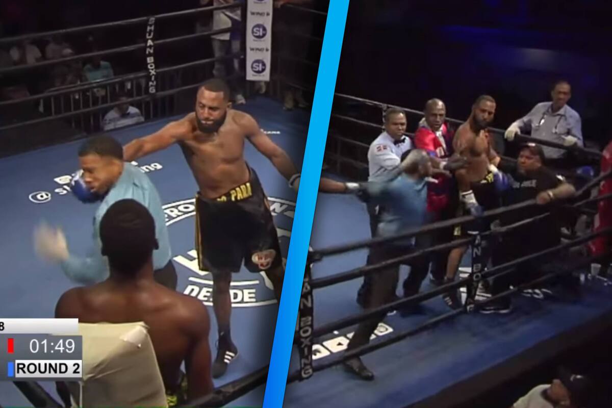 VIDEO: Boxeador y réferi se agarran a golpes en pleno ring