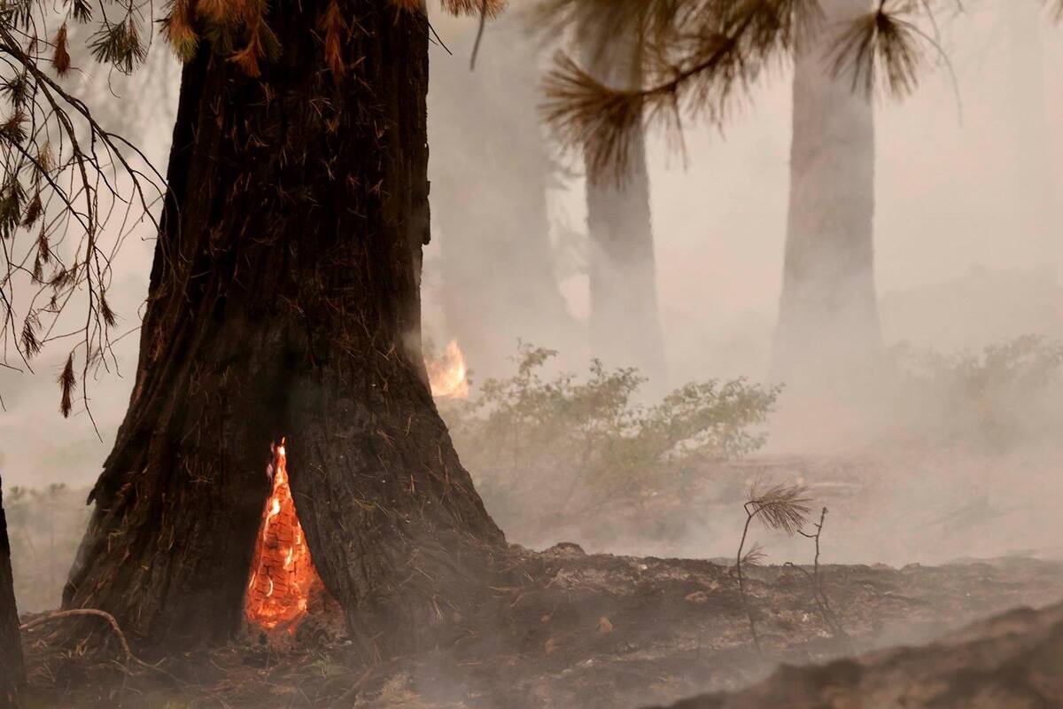 Un incendio forestal en California amenaza 17 mil edificios pese a la mejora del clima