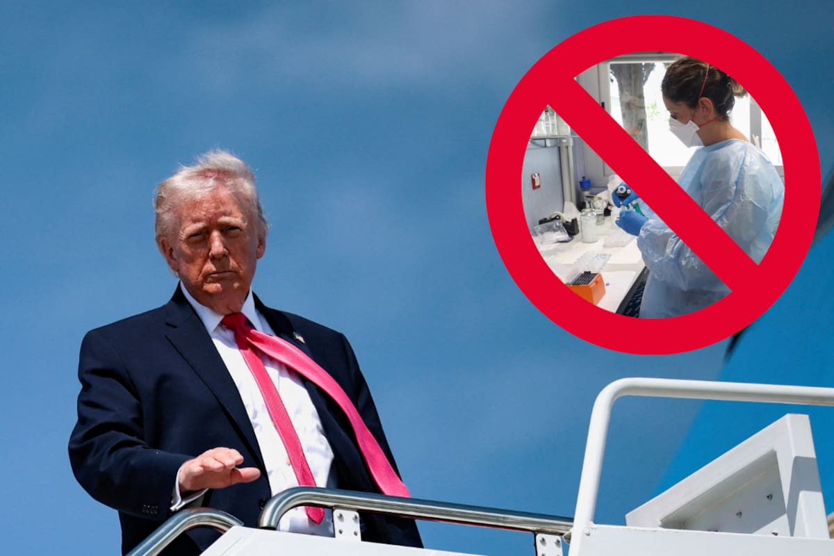 Gobierno de Donald Trump destituye a todos los integrantes de la Junta Nacional de Ciencias de EEUU y reabre debate sobre presión política en instituciones científicas independientes