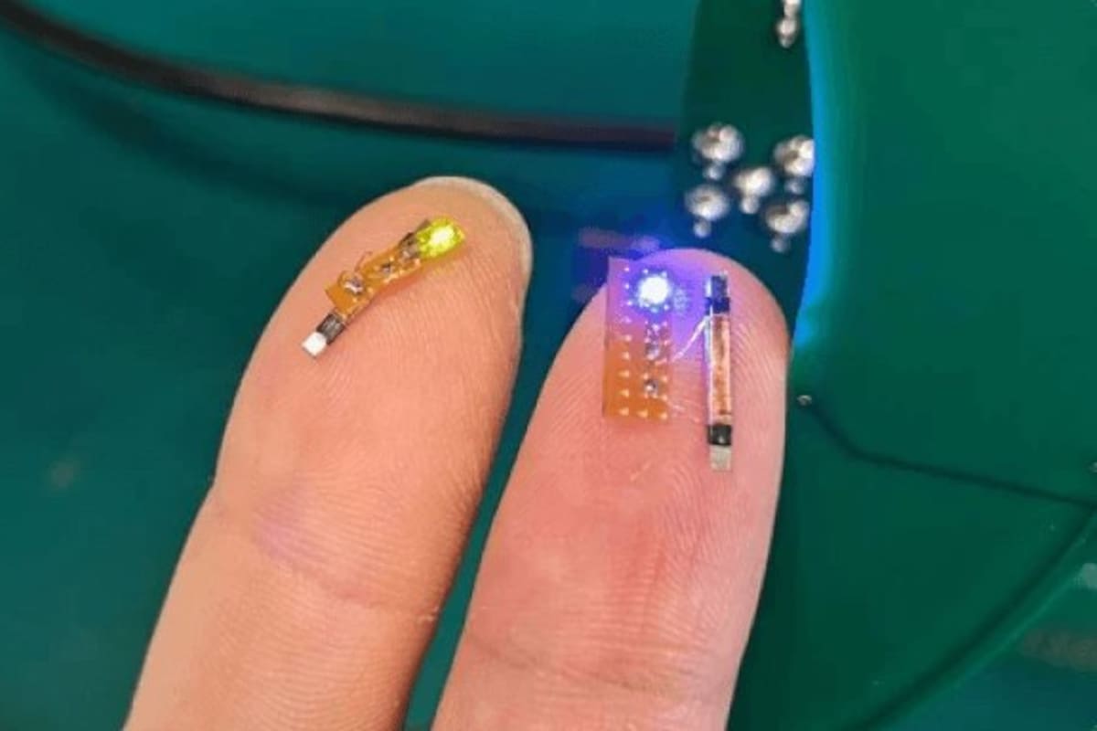 Starfish Neuroscience anuncia su chip cerebral que pretende competir con el de Elon Musk