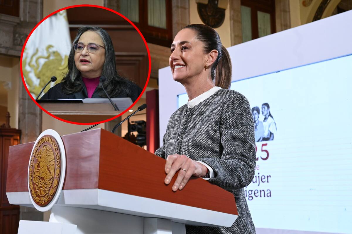 Violación de resolución del TEPJF por el Poder Judicial Federal: Amparo no procede, según Sheinbaum