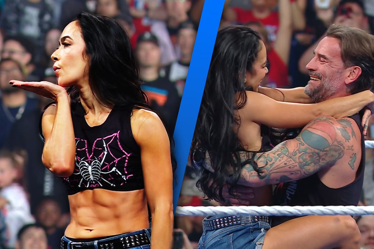 ¡SORPRESA! AJ Lee regresa a la WWE para ayudar a CM Punk