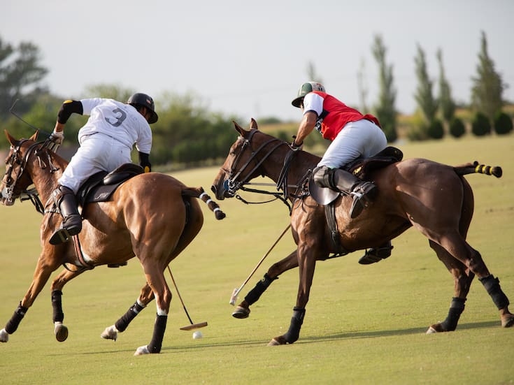 Polo sin fronteras